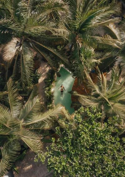 Aerial view of pool surrounded by palm trees